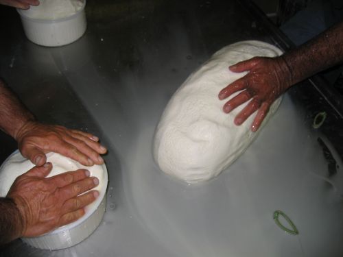 scuola di formaggio-36.JPG